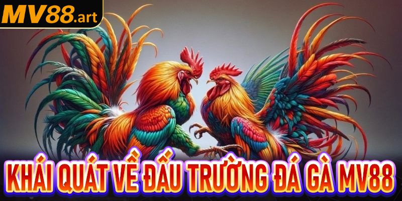 Khái quát tổng quan chung về sảnh đá gà 789P